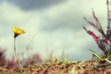 Stay Right When You're Wronged - Just One Thing