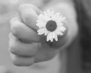 Make the Offering - Just One Thing