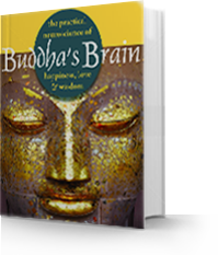 Buddha's Brain Buddha's Brain