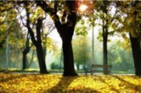 EnjoyFourKindsOfPeace
