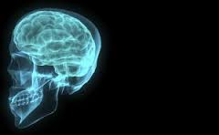 Seven Facts about the Brain That Incline the Mind to Joy