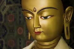 Developing a "Buddha Brain" Through Gratitude