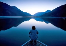 FeelWhole