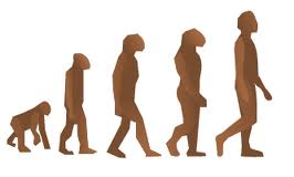 The Effect of Relationships on the Evolving Human Brain