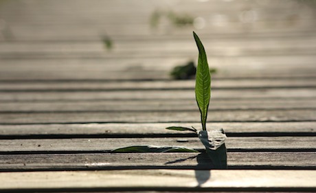 Keep hope not fear alive