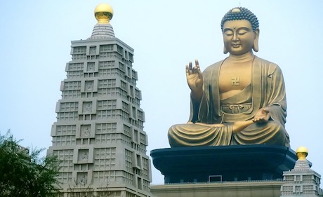 Gratitude and The Buddha Brain