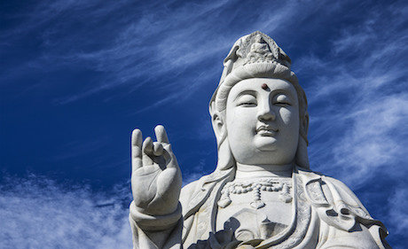 develop a buddha brain through gratitude