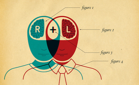 Questions on neuroscience