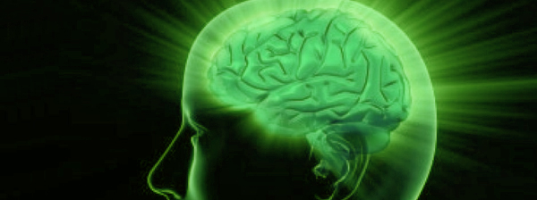 Green Zone Brain