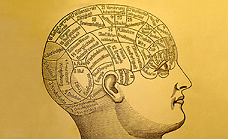 brain mind