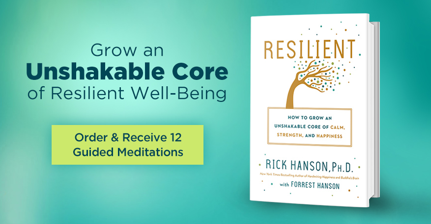 Resilient How To Grow An Unshakable Core Of Calm Strength - 
