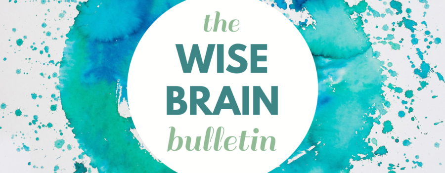 Wise Brain Banner Full
