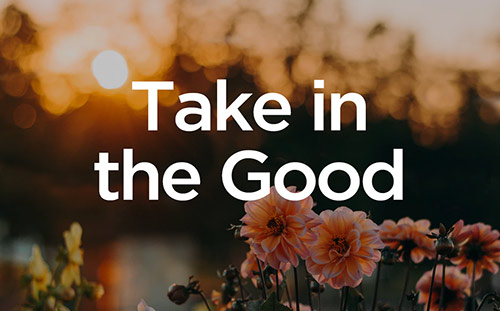 Take in the Good