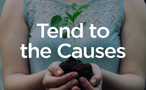 Tend to the Causes
