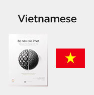 Vietnamese-Buddha-Brain