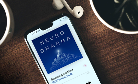 neurodharma by rick hanson neurodharma by rick hanson