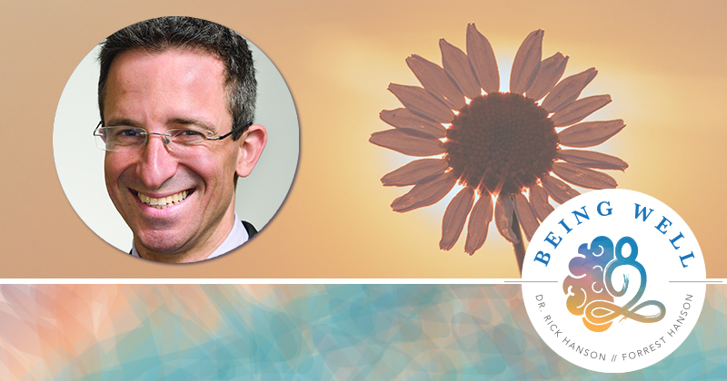 Being Well Podcast: Authentic Happiness with Dr. Tal Ben-Shahar