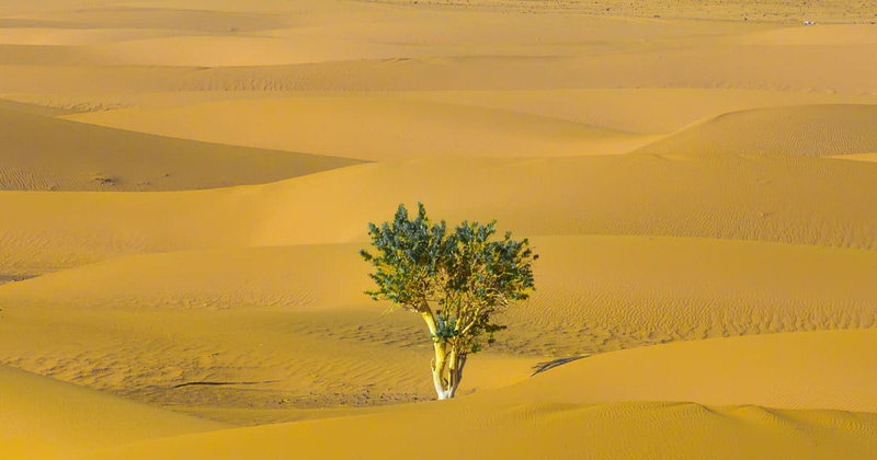 How to Be More Resilient - Ask Dr. Rick
