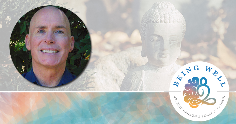 Stephen Synder & Mindful Practice - The Being Well Podcast