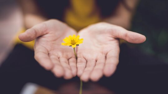 Meditation and Talk 09/21/23